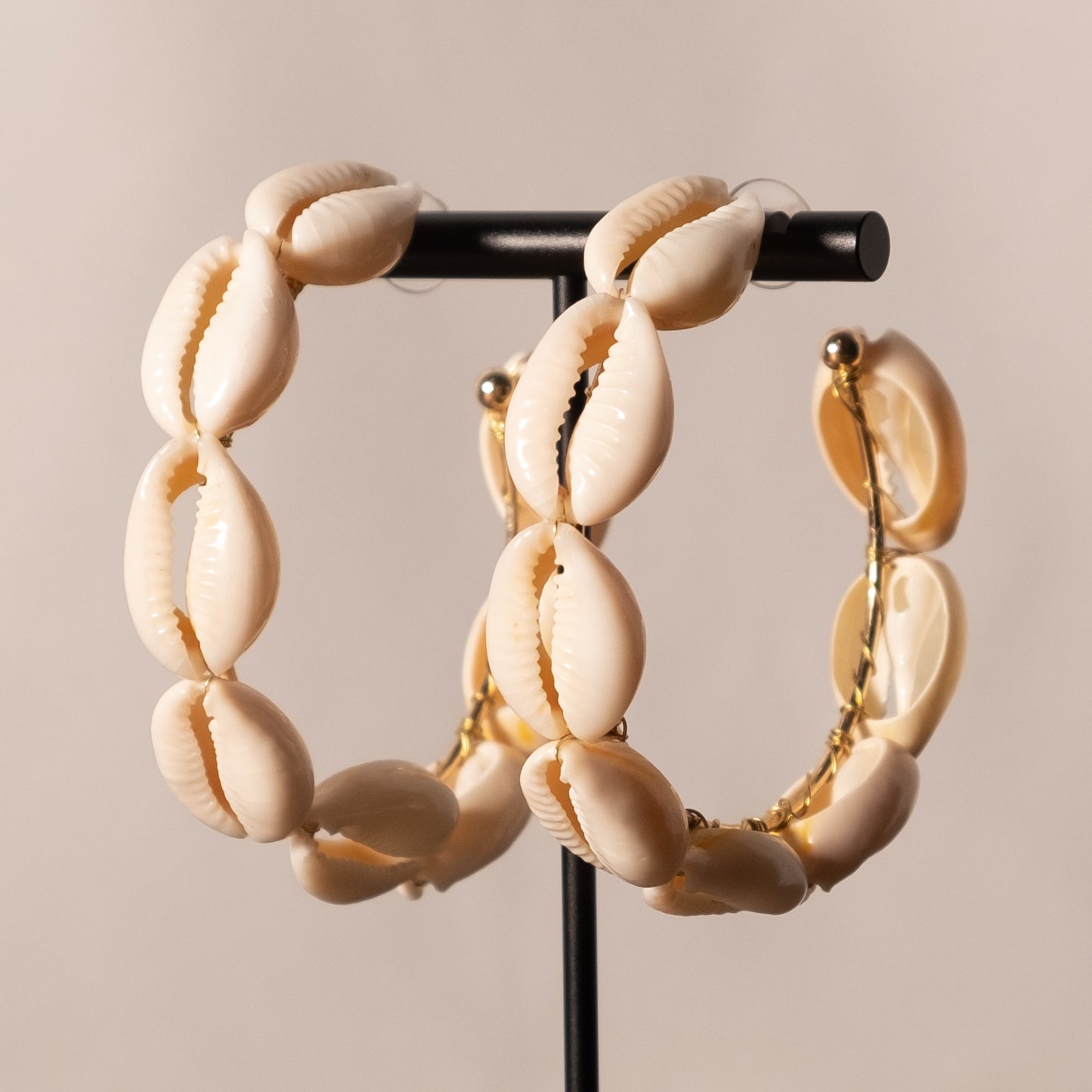 Cowrie Hoops