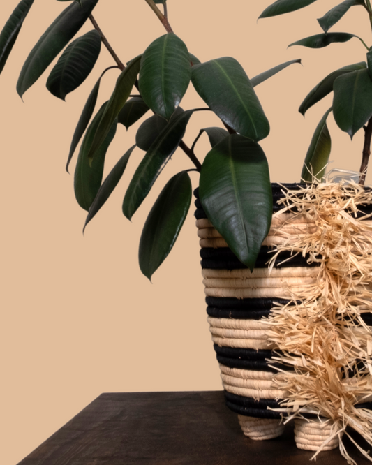 Sophia Black Striped Fringed Raffia Planter