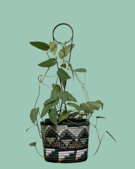 Ivy Kamere Tapered Planter