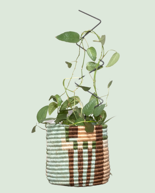 Emmy Seafoam & Apricot Lines Planter