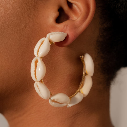 Cowrie Hoops