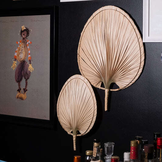 Palm Leaf Fan Set