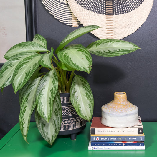 Yellow and Cream Vase